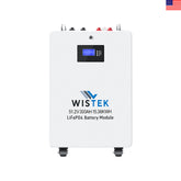 High Quality 51.2V 15KWh Wall Mount Mobile LiFePO4 Battery Pack with 200A BMS(Wistek|USA) - Wistek