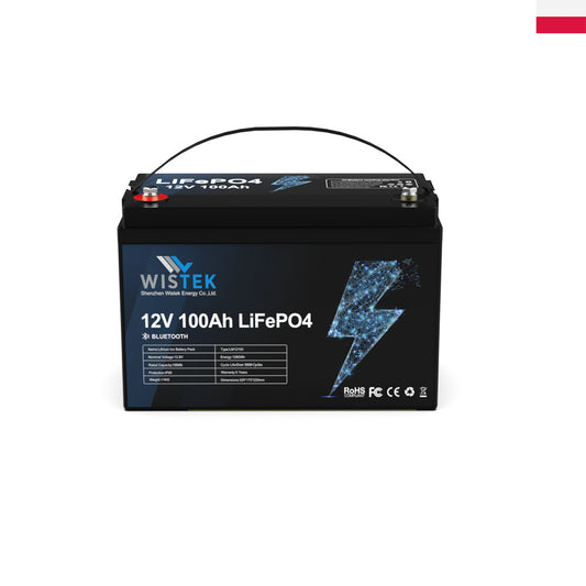 12V 100Ah LiFePO4 Battery with 100A BMS Bluetooth APP|Wistek(Poland Stock) - Wistek