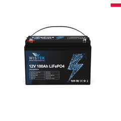 12V 100Ah LiFePO4 Battery with 100A BMS Bluetooth APP|Wistek(Poland Stock) - Wistek