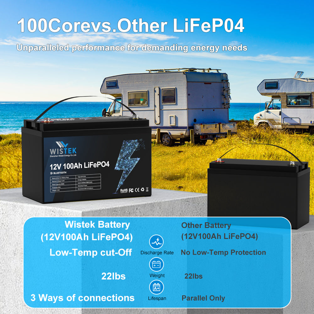 12V 100Ah LiFePO4 Battery with 100A BMS Bluetooth APP|Wistek(Poland Stock) - Wistek