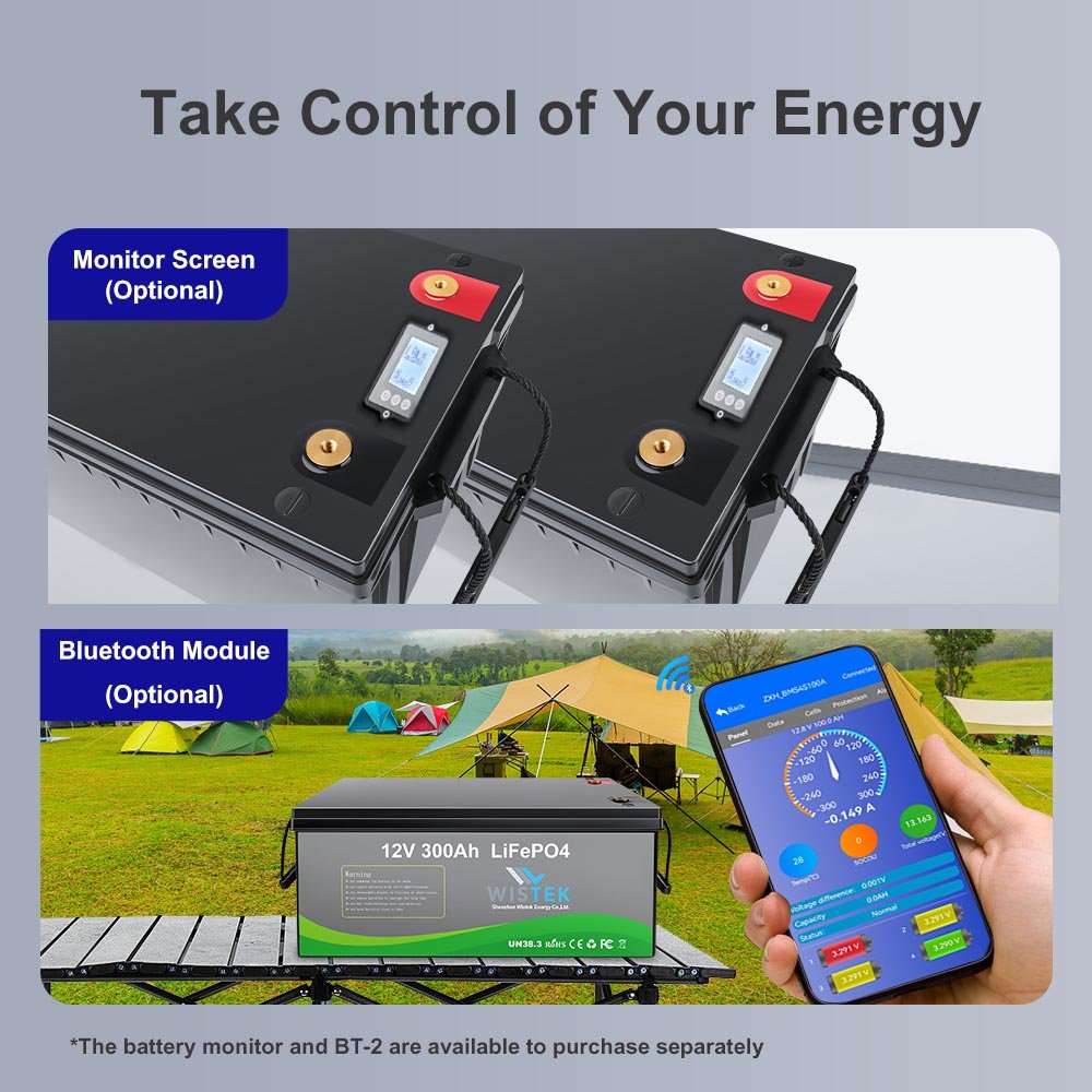 High Power LiFePO4 12V 300Ah Battery Pack with 100A BMS - 2560Wh - Wistek