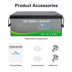 High Power LiFePO4 12V 300Ah Battery Pack with 100A BMS - 2560Wh - Wistek