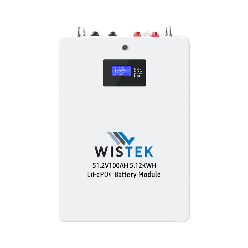 Wall-mounted Battery Home Energy Storage System ESS 51.2V 100Ah