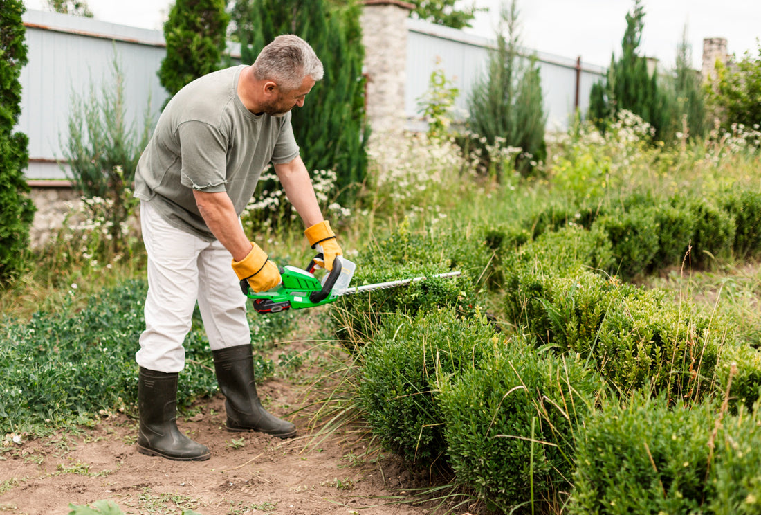 Why is My Cordless Hedge Trimmer Not Working: Quick Fixes Explained