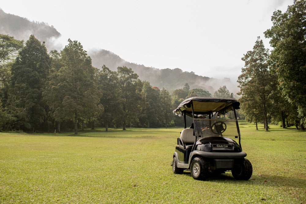 Do Golf Carts Have VINs or Only Serial Numbers