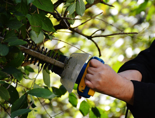 Is a 20V battery sufficient for a hedge trimmer?