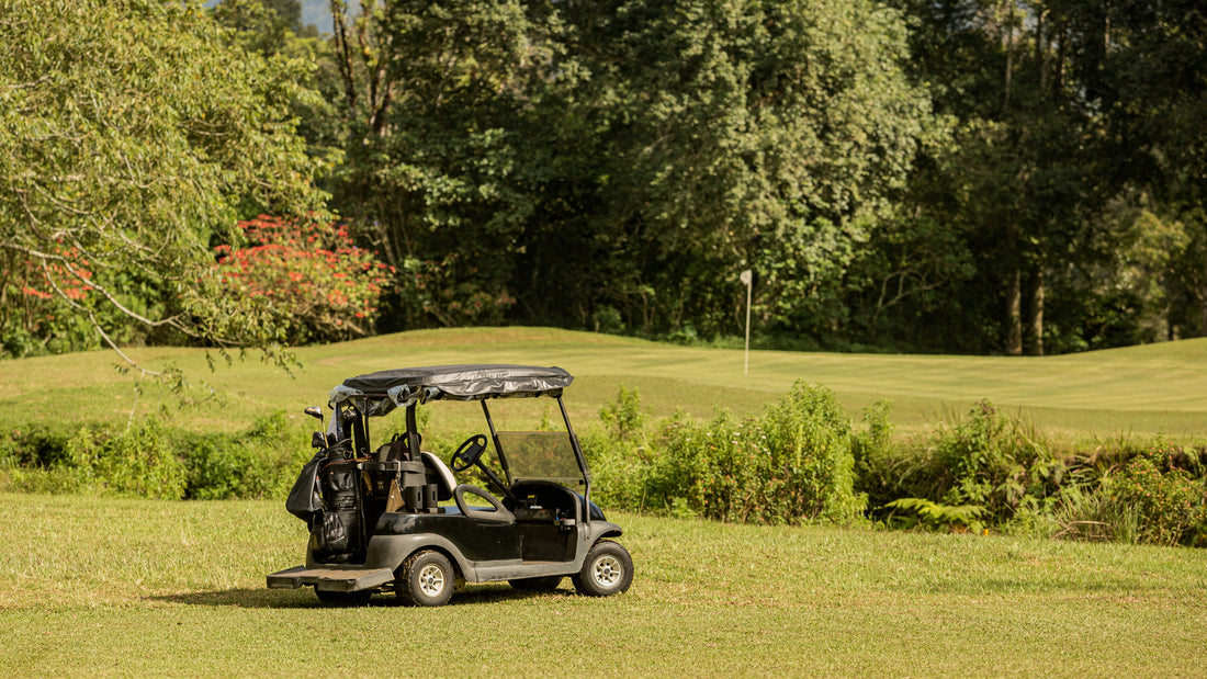 golf cart battery