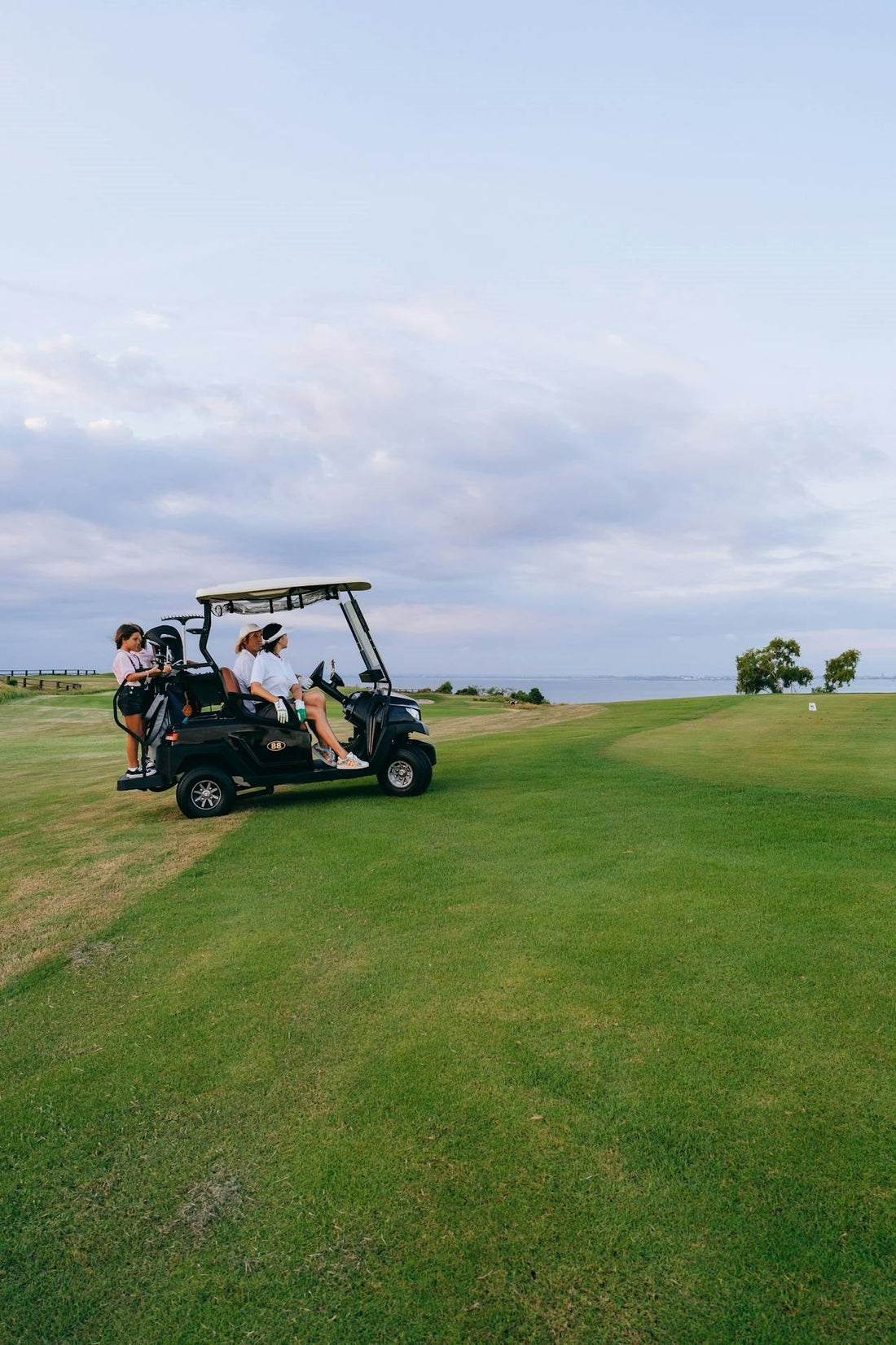 A Comprehensive Guide to the Costs and Performance of 48 Volt Golf Cart Batteries
