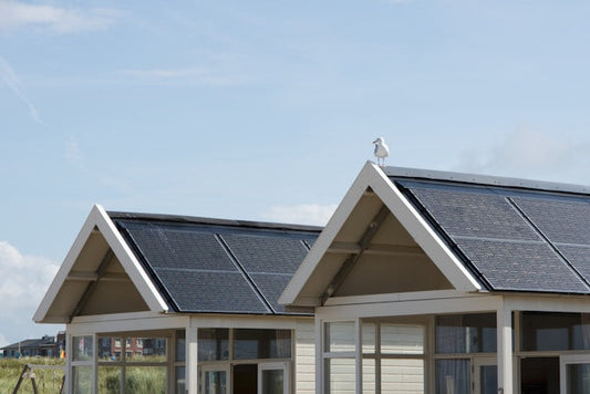Plug-In Solar vs Rooftop Solar: Costs, Savings, and Which Is Right for You