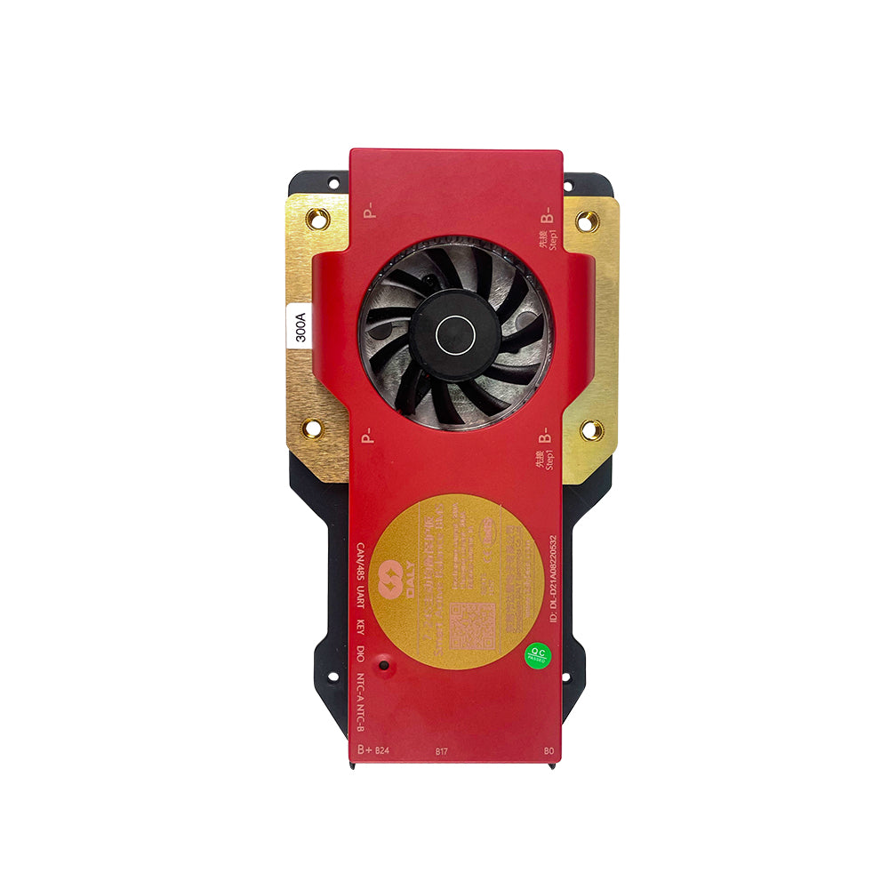 Daly 8-24S 300A Discharge Current Smart BMS for Low-speed Vehicles|Wistek