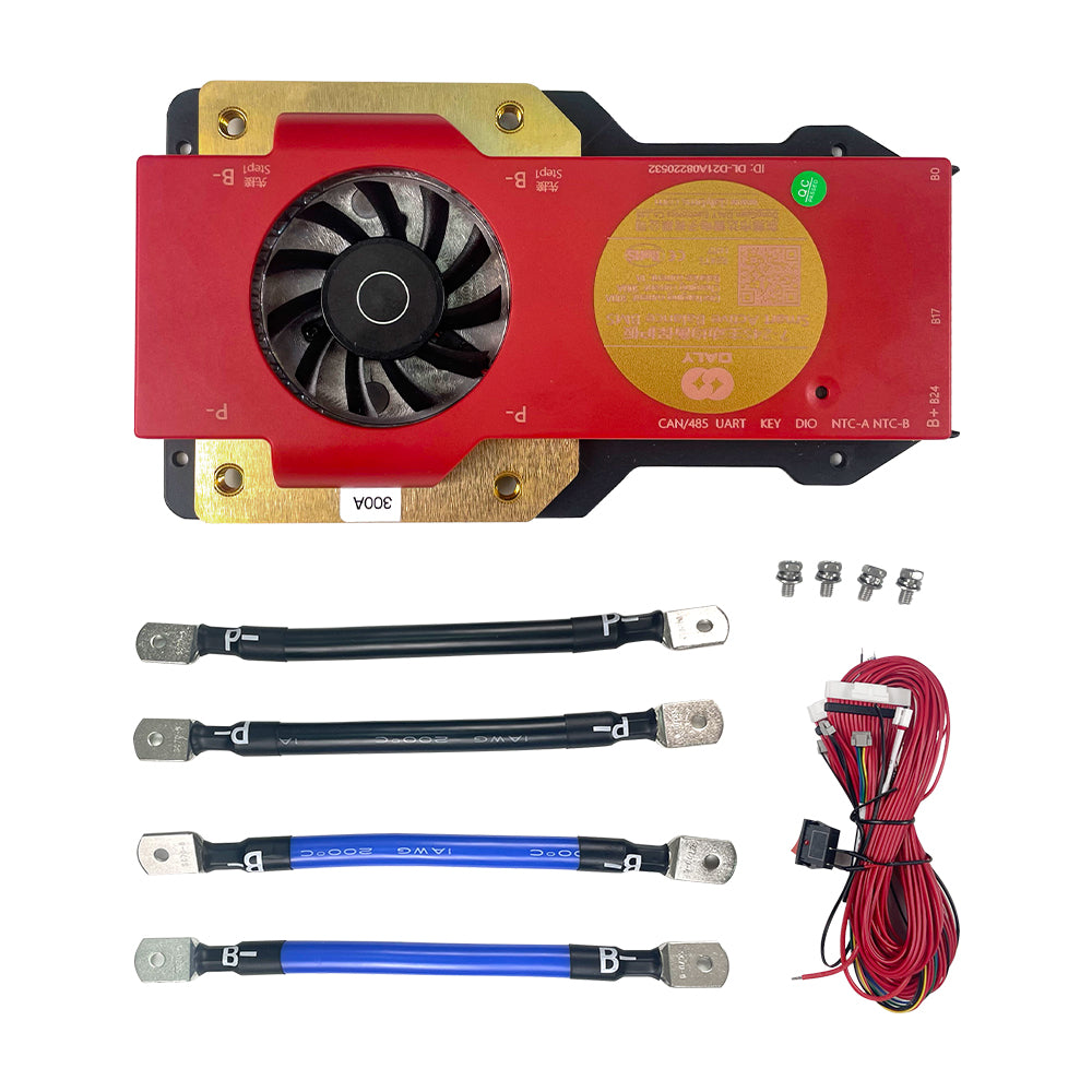 Daly 8-24S 300A Discharge Current Smart BMS for Low-speed Vehicles|Wistek